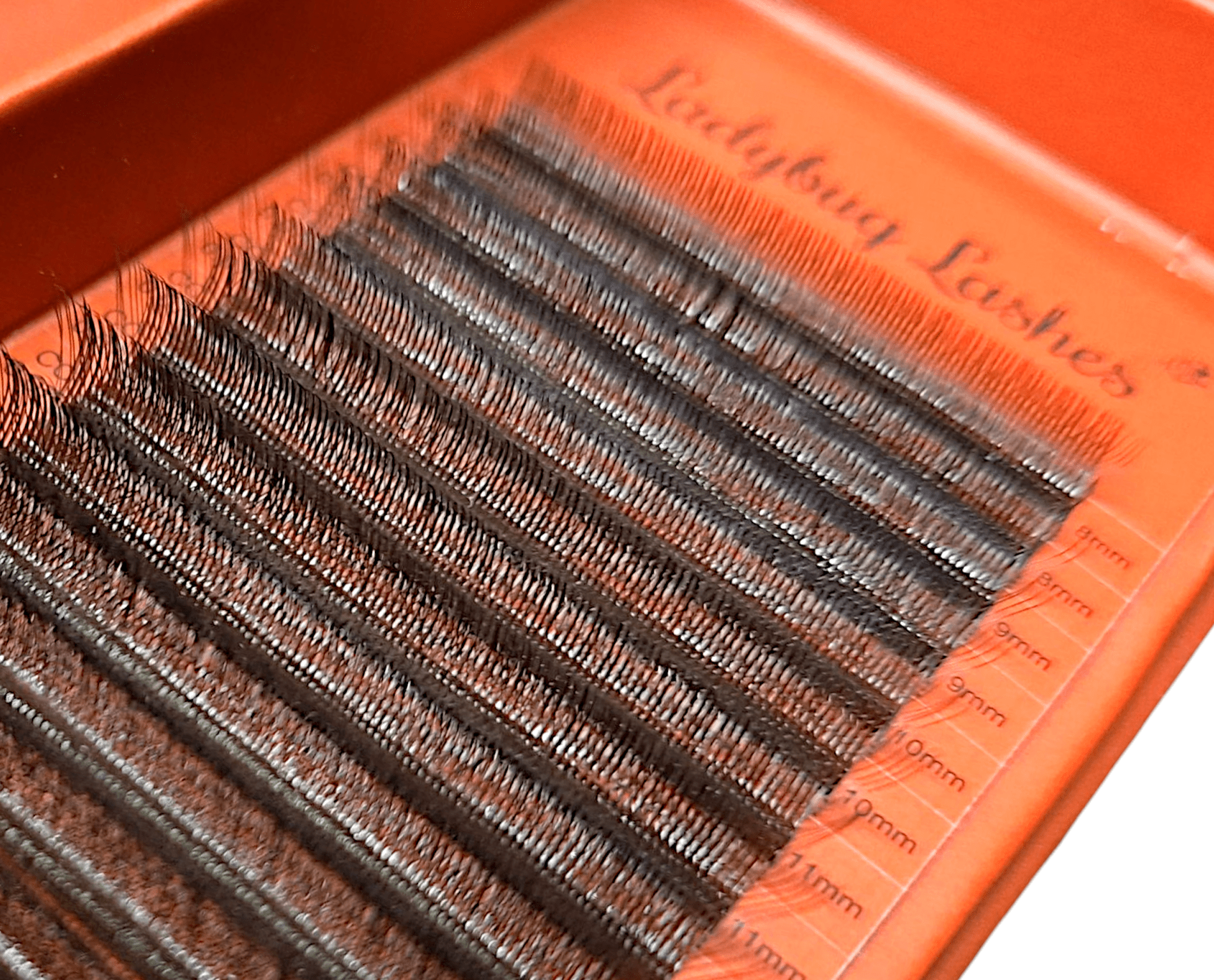 ladybuglashes lashglue lashtrays lashadhesive glueretention cloverlashes wlashes yylashes premades promades lashes