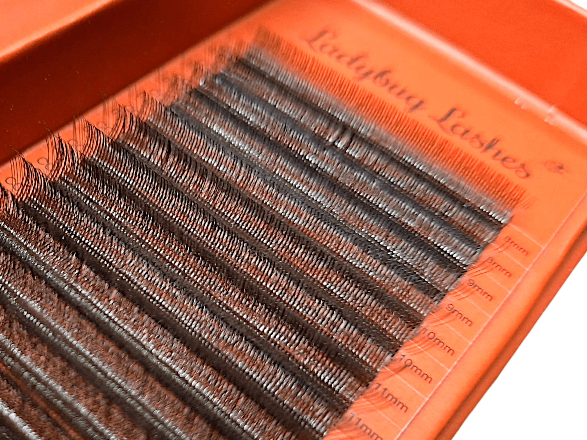 ladybuglashes lashglue lashtrays lashadhesive glueretention cloverlashes wlashes yylashes premades promades lashes