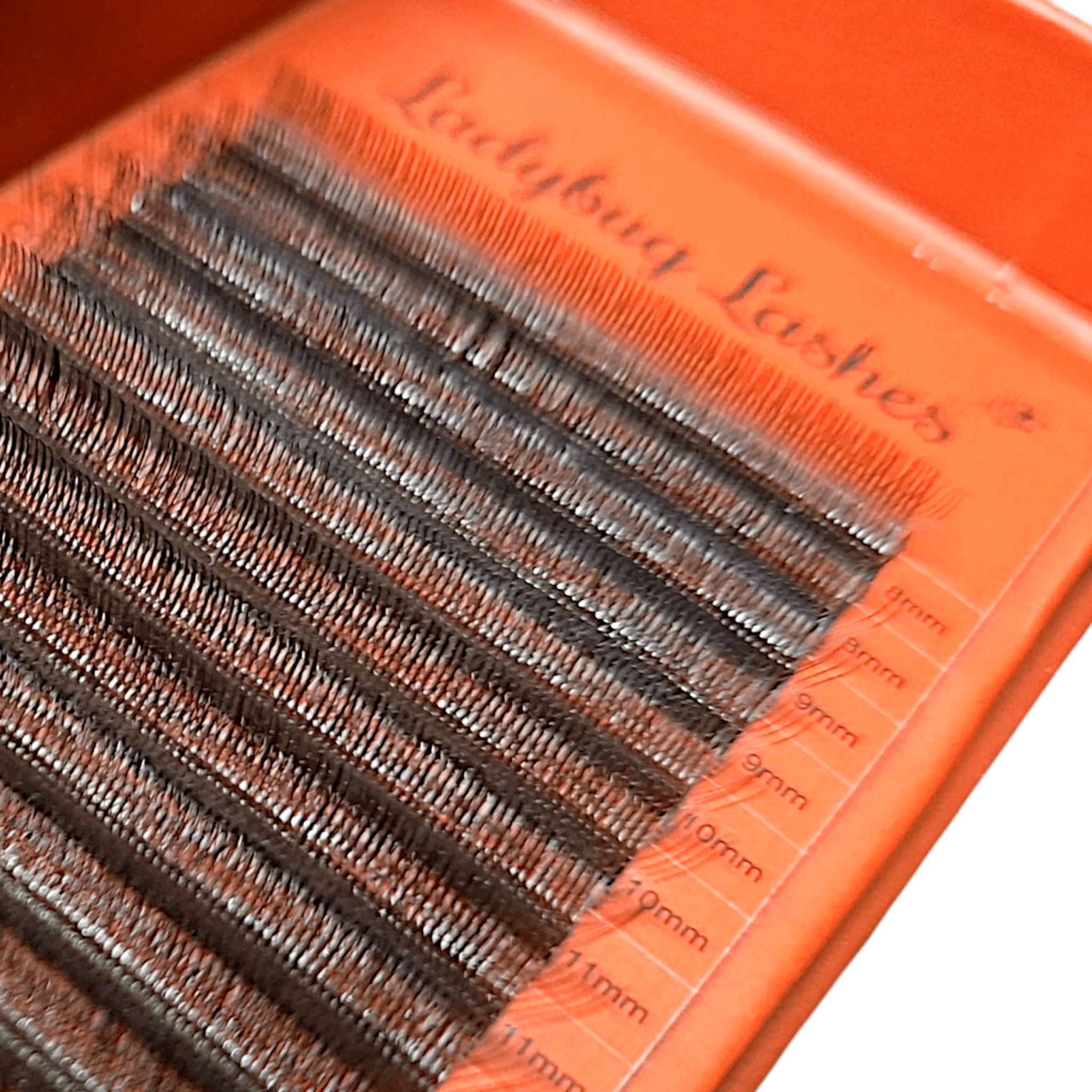 ladybuglashes lashglue lashtrays lashadhesive glueretention cloverlashes wlashes yylashes premades promades lashes