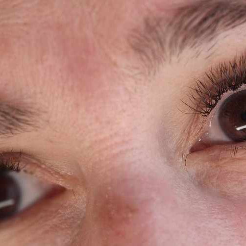 ladybuglashes lashglue lashtrays lashadhesive glueretention cloverlashes wlashes yylashes premades promades lashes