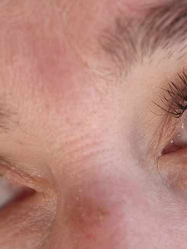 ladybuglashes lashglue lashtrays lashadhesive glueretention cloverlashes wlashes yylashes premades promades lashes