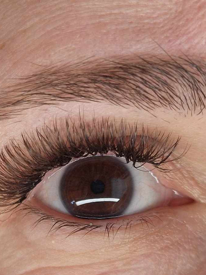 ladybuglashes lashglue lashtrays lashadhesive glueretention cloverlashes wlashes yylashes premades promades lashes