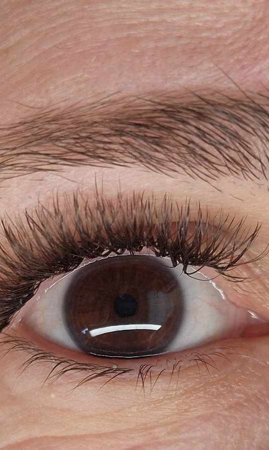 ladybuglashes lashglue lashtrays lashadhesive glueretention cloverlashes wlashes yylashes premades promades lashes