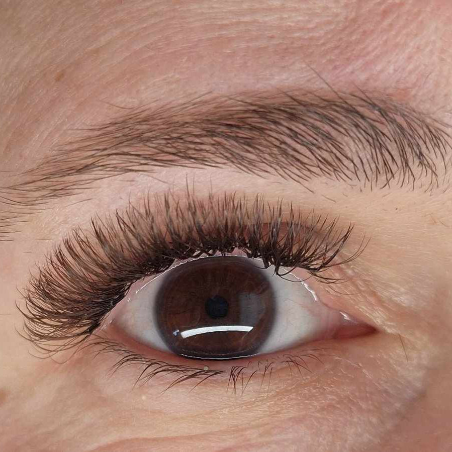 ladybuglashes lashglue lashtrays lashadhesive glueretention cloverlashes wlashes yylashes premades promades lashes