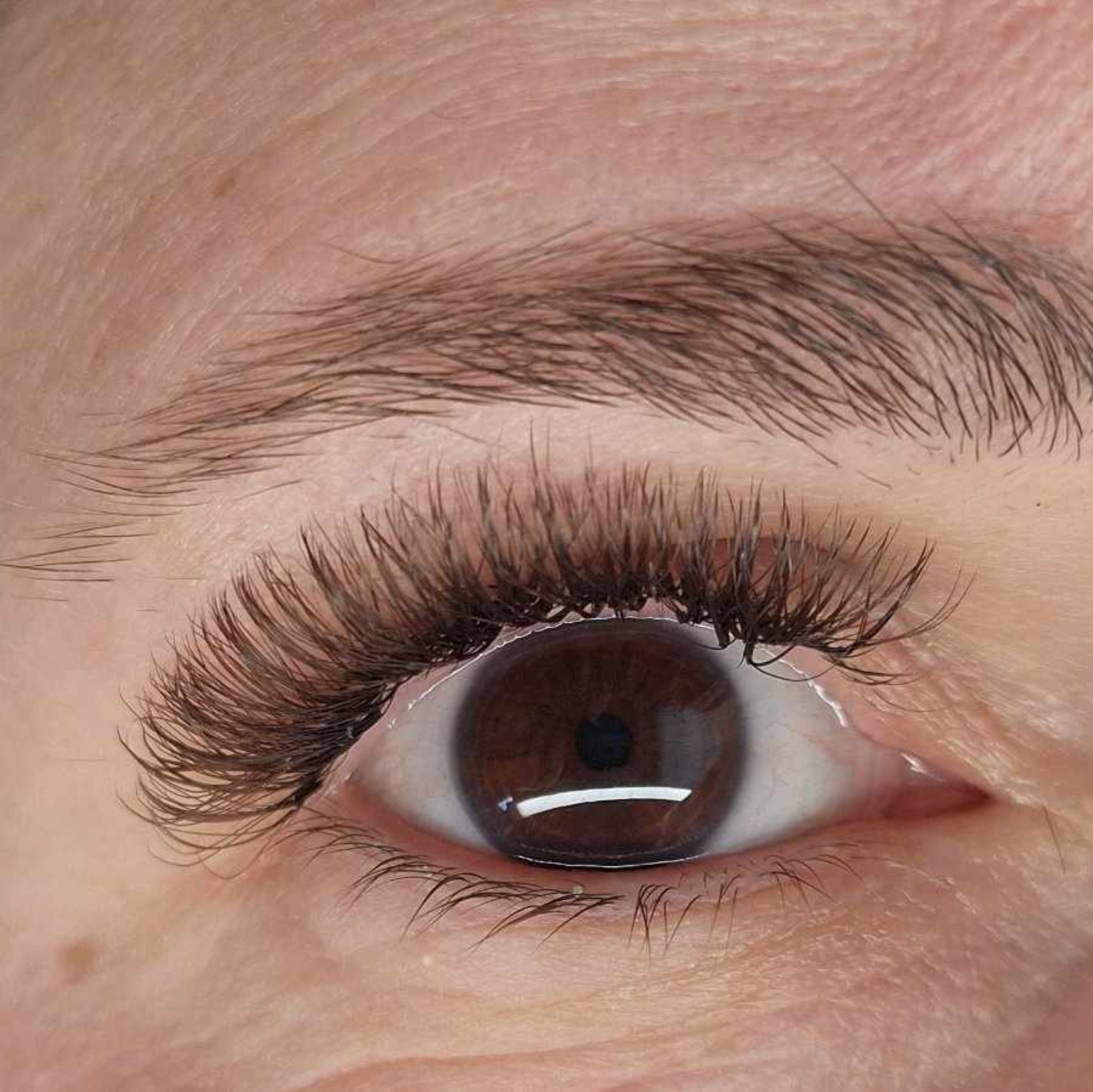 Close-up of completed brown Fairy lash extension set on dark brown eyes showing full dense volume and warm brown tone from front angle lush