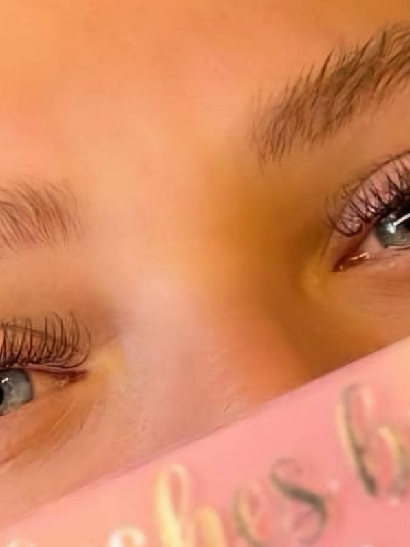 ladybuglashes lashglue lashtrays lashadhesive glueretention cloverlashes wlashes yylashes premades promades lashes