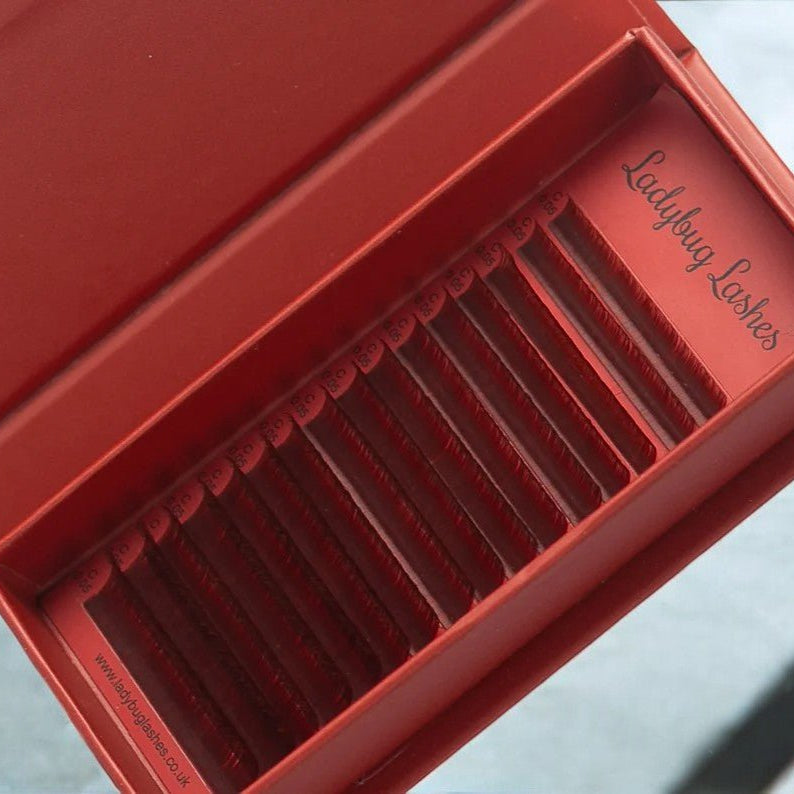 ladybuglashes lashglue lashtrays lashadhesive glueretention cloverlashes wlashes yylashes premades promades lashes