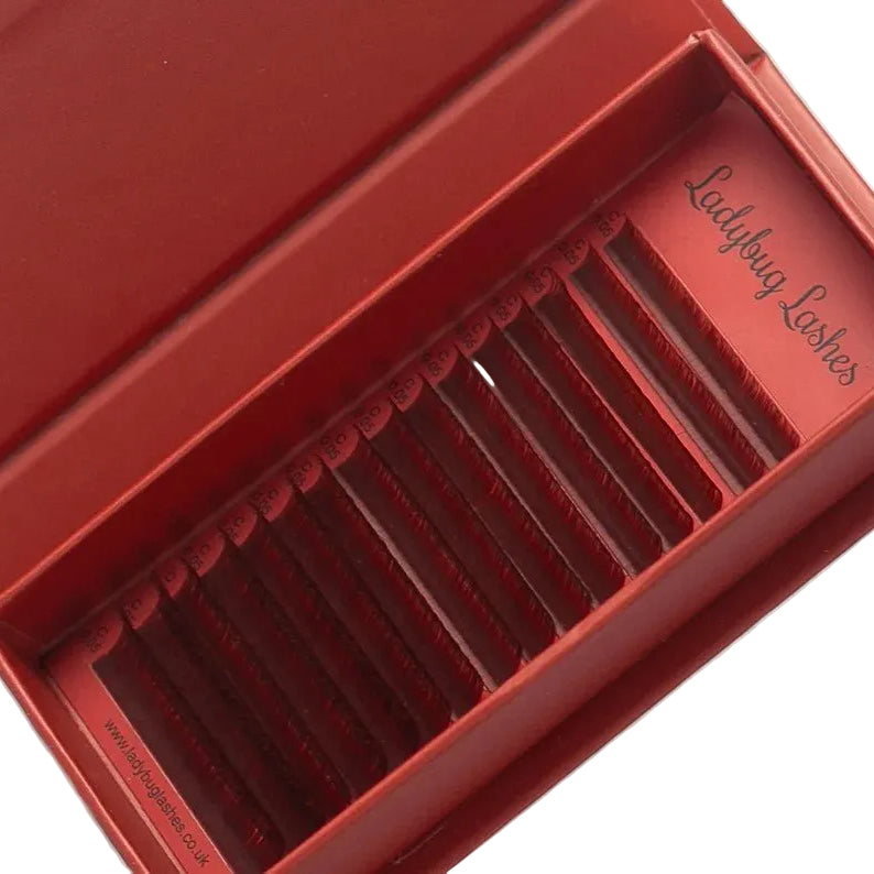 ladybuglashes lashglue lashtrays lashadhesive glueretention cloverlashes wlashes yylashes premades promades lashes