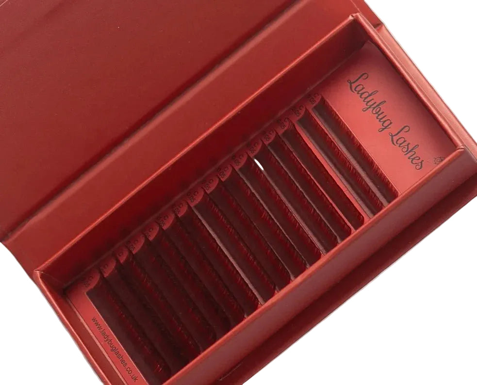 ladybuglashes lashglue lashtrays lashadhesive glueretention cloverlashes wlashes yylashes premades promades lashes