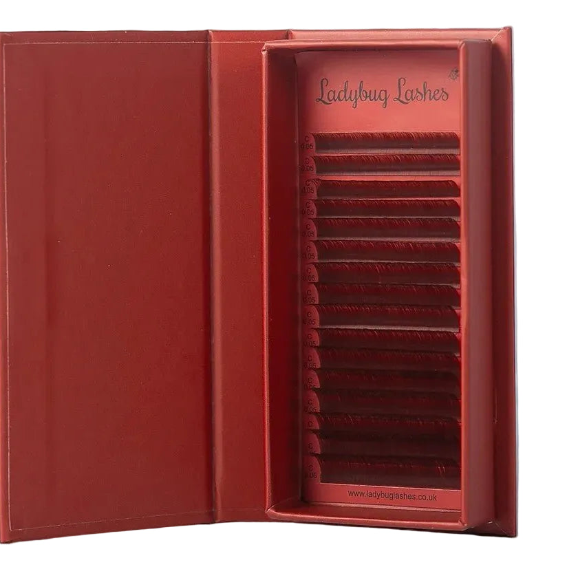 ladybuglashes lashglue lashtrays lashadhesive glueretention cloverlashes wlashes yylashes premades promades lashes