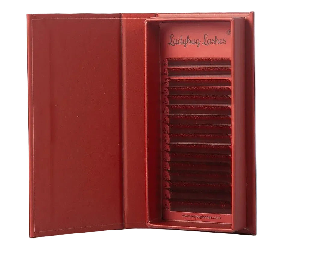 ladybuglashes lashglue lashtrays lashadhesive glueretention cloverlashes wlashes yylashes premades promades lashes