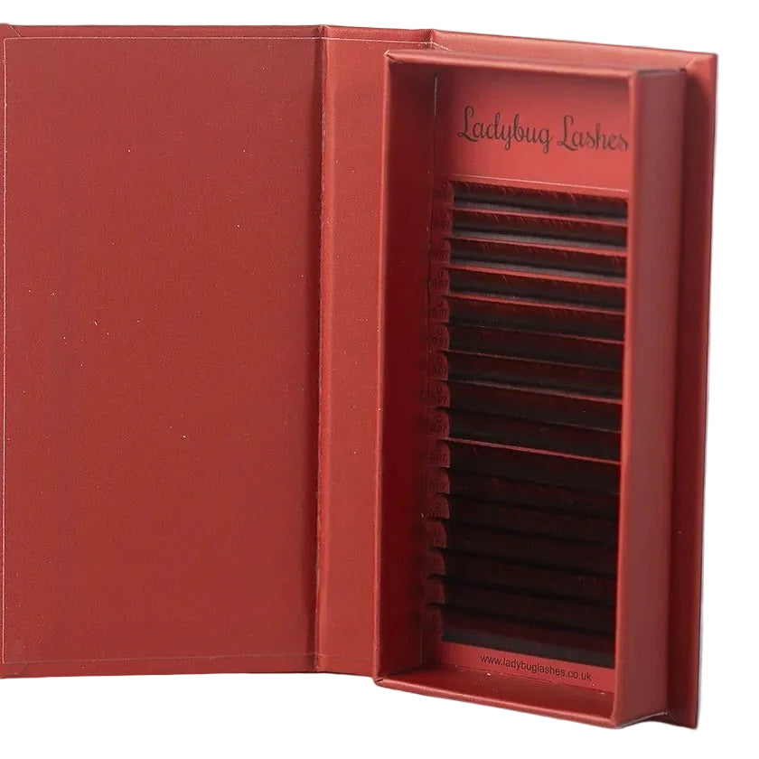 ladybuglashes lashglue lashtrays lashadhesive glueretention cloverlashes wlashes yylashes premades promades lashes