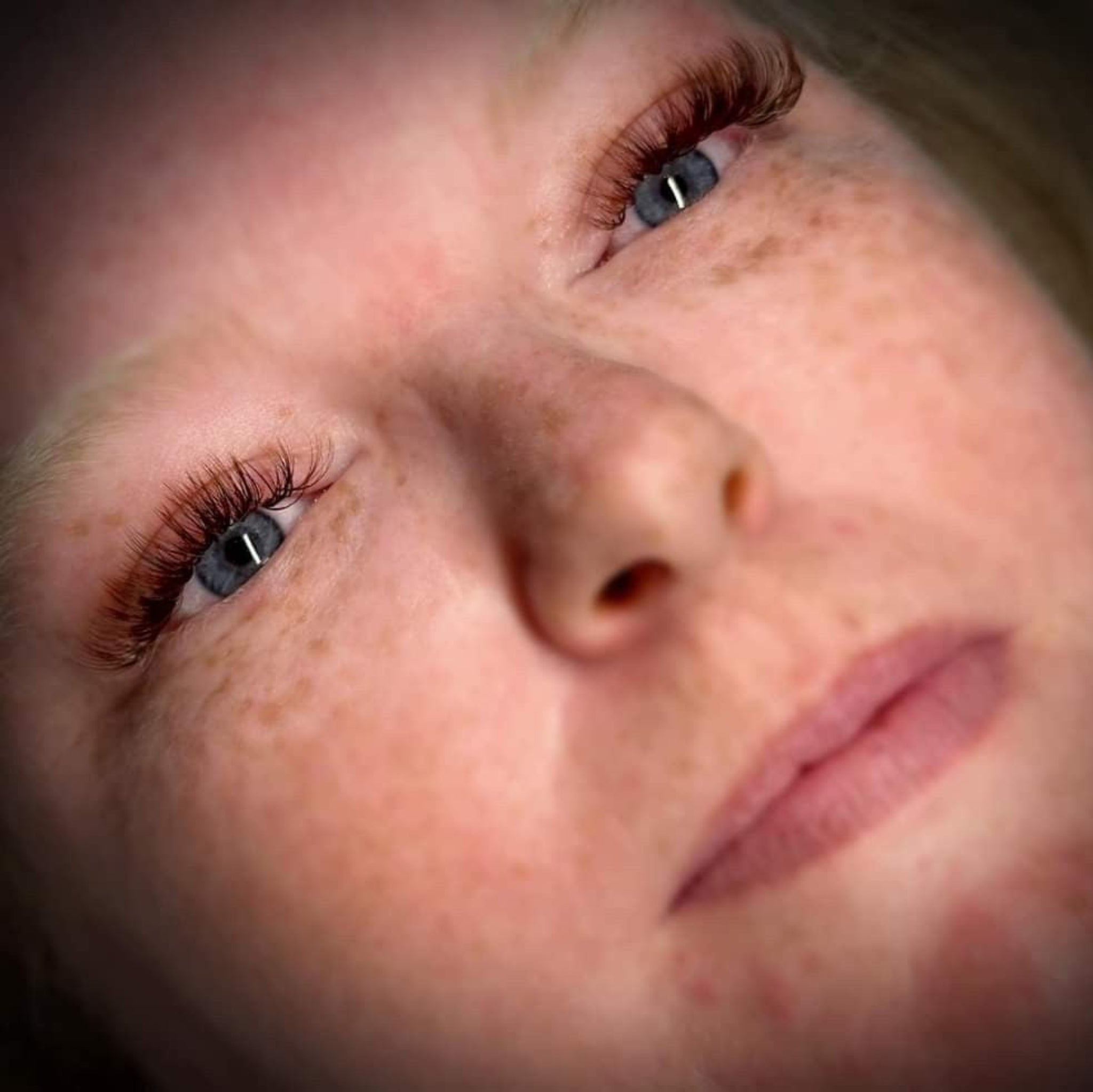 ladybuglashes lashglue lashtrays lashadhesive glueretention cloverlashes wlashes yylashes premades promades lashes