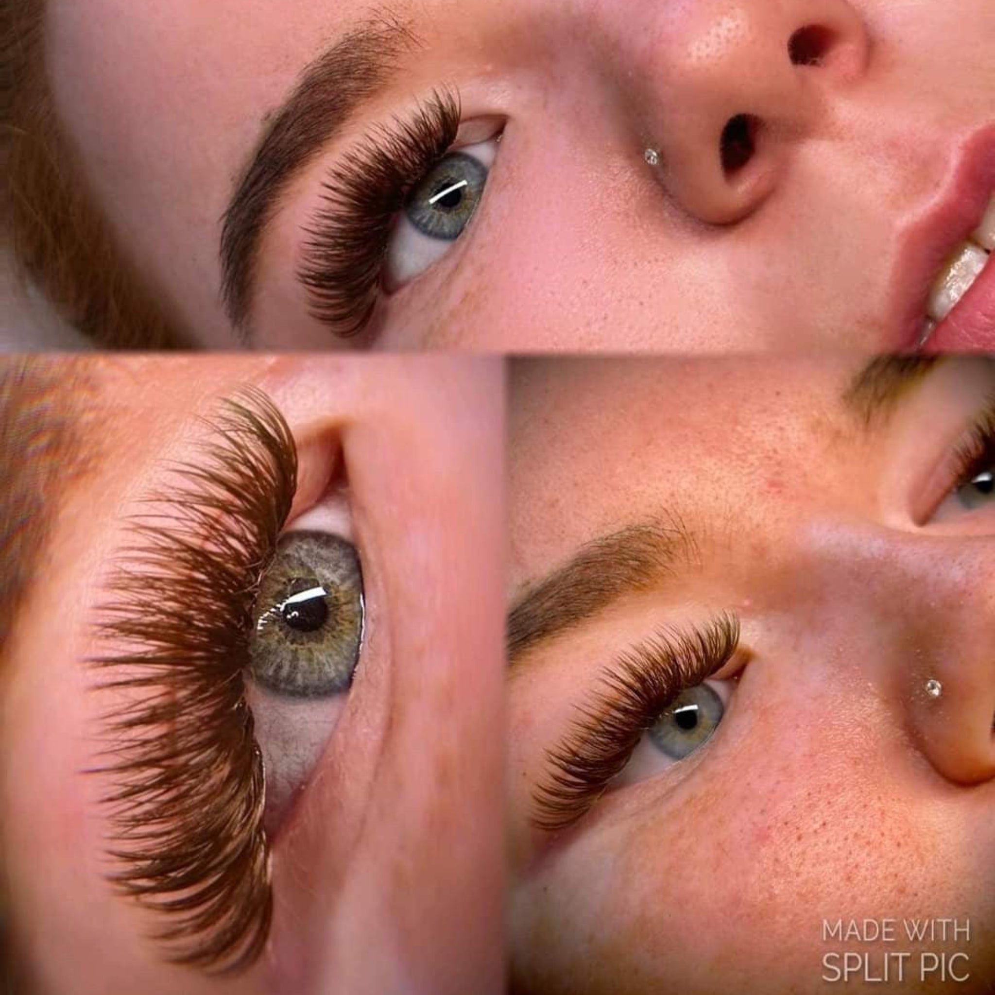 ladybuglashes lashglue lashtrays lashadhesive glueretention cloverlashes wlashes yylashes premades promades lashes