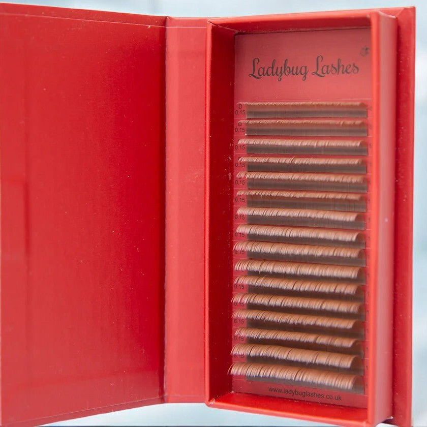 ladybuglashes lashglue lashtrays lashadhesive glueretention cloverlashes wlashes yylashes premades promades lashes