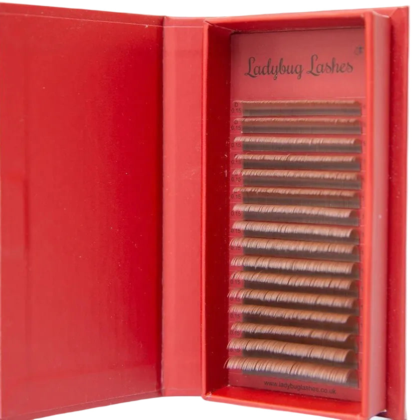 ladybuglashes lashglue lashtrays lashadhesive glueretention cloverlashes wlashes yylashes premades promades lashes