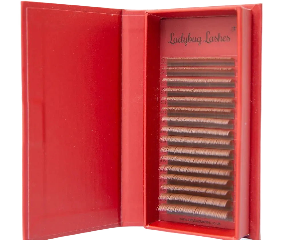 ladybuglashes lashglue lashtrays lashadhesive glueretention cloverlashes wlashes yylashes premades promades lashes