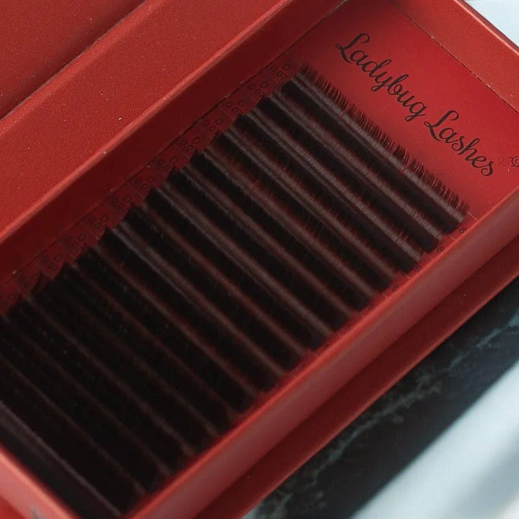 ladybuglashes lashglue lashtrays lashadhesive glueretention cloverlashes wlashes yylashes premades promades lashes