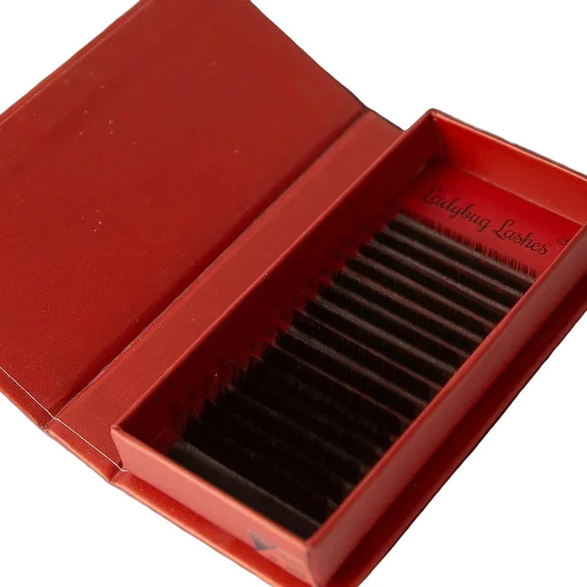 ladybuglashes lashglue lashtrays lashadhesive glueretention cloverlashes wlashes yylashes premades promades lashes