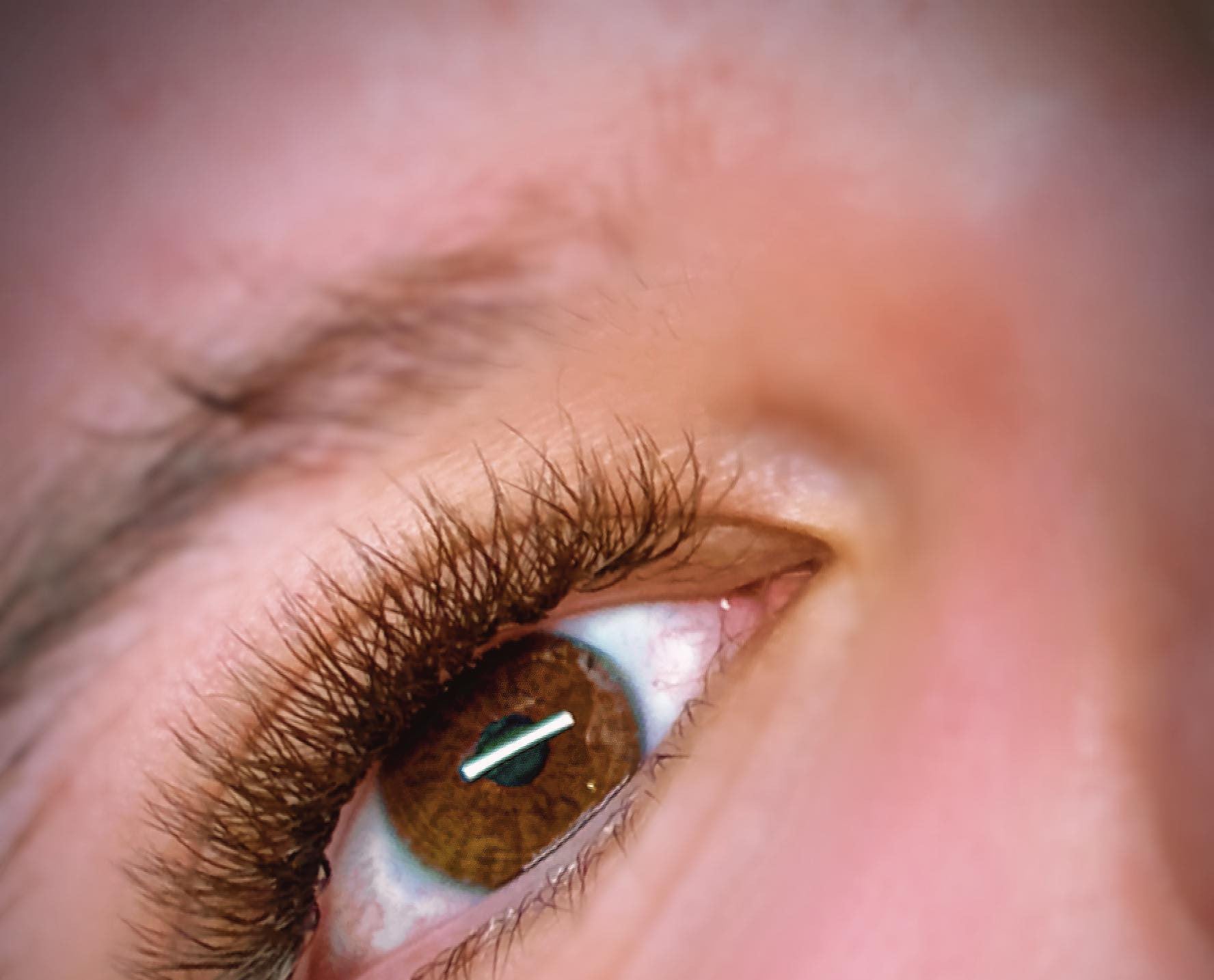 ladybuglashes lashglue lashtrays lashadhesive glueretention cloverlashes wlashes yylashes premades promades lashes