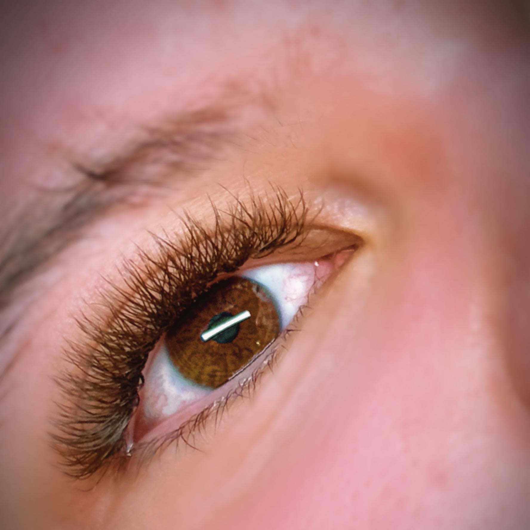 ladybuglashes lashglue lashtrays lashadhesive glueretention cloverlashes wlashes yylashes premades promades lashes