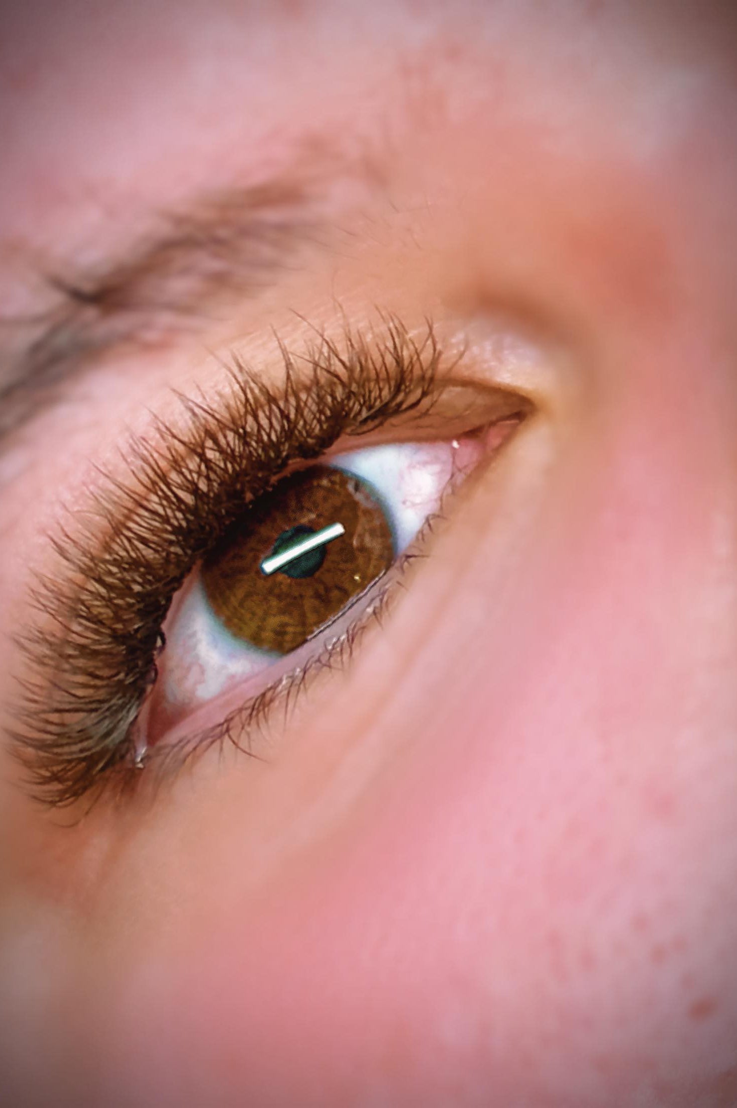 ladybuglashes lashglue lashtrays lashadhesive glueretention cloverlashes wlashes yylashes premades promades lashes