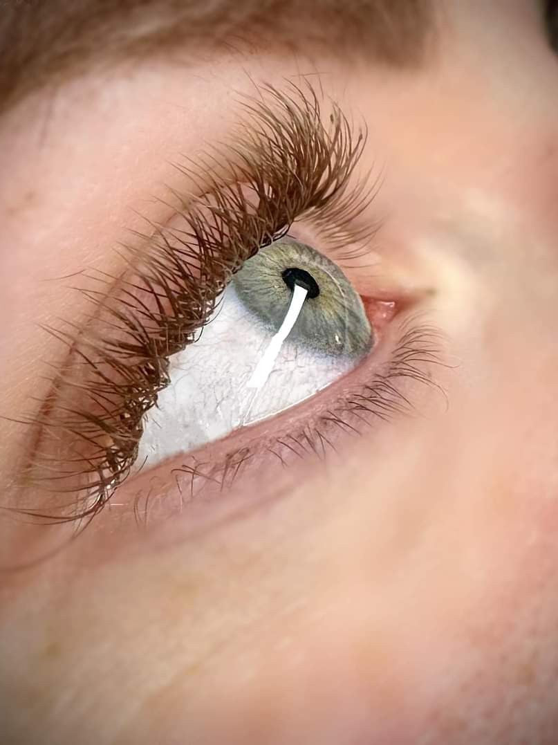 ladybuglashes lashglue lashtrays lashadhesive glueretention cloverlashes wlashes yylashes premades promades lashes