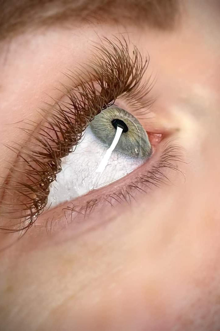 ladybuglashes lashglue lashtrays lashadhesive glueretention cloverlashes wlashes yylashes premades promades lashes