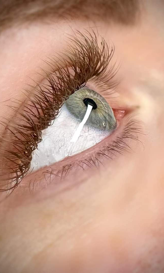 ladybuglashes lashglue lashtrays lashadhesive glueretention cloverlashes wlashes yylashes premades promades lashes