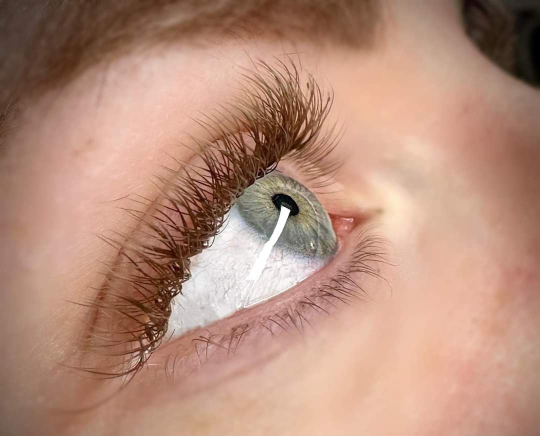 ladybuglashes lashglue lashtrays lashadhesive glueretention cloverlashes wlashes yylashes premades promades lashes