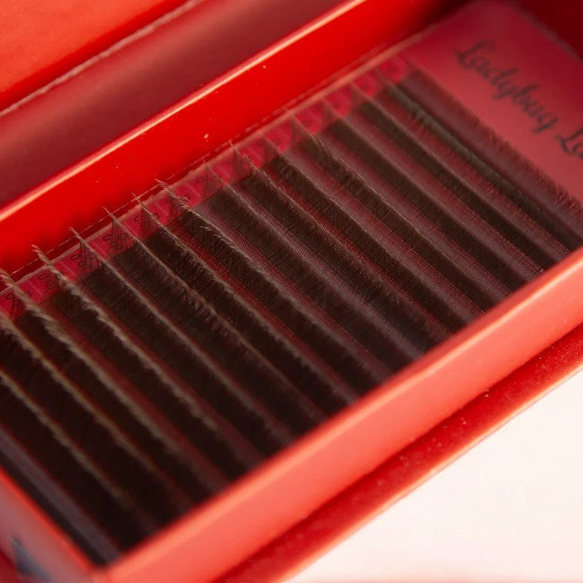 ladybuglashes lashglue lashtrays lashadhesive glueretention cloverlashes wlashes yylashes premades promades lashes