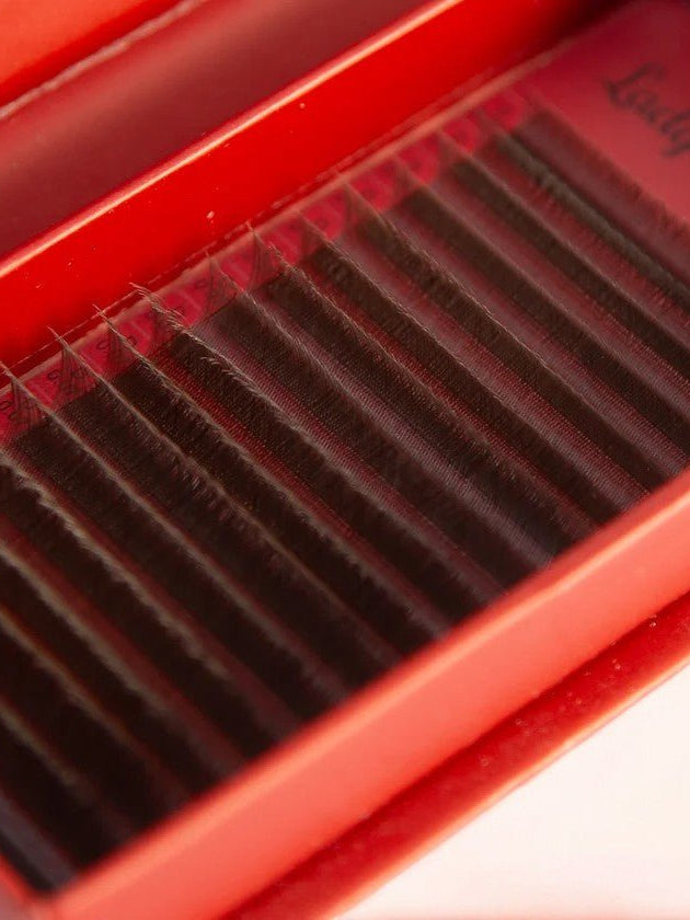 ladybuglashes lashglue lashtrays lashadhesive glueretention cloverlashes wlashes yylashes premades promades lashes