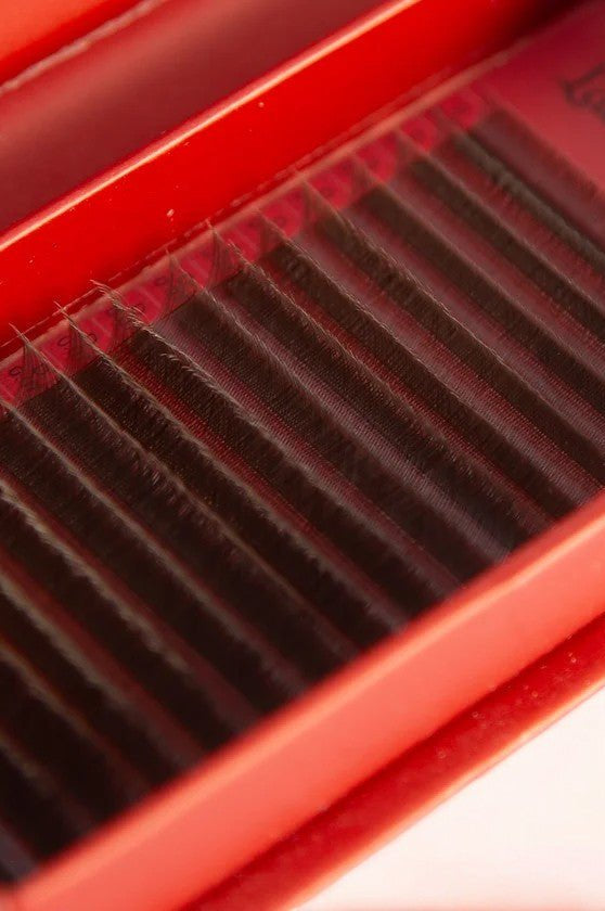 ladybuglashes lashglue lashtrays lashadhesive glueretention cloverlashes wlashes yylashes premades promades lashes