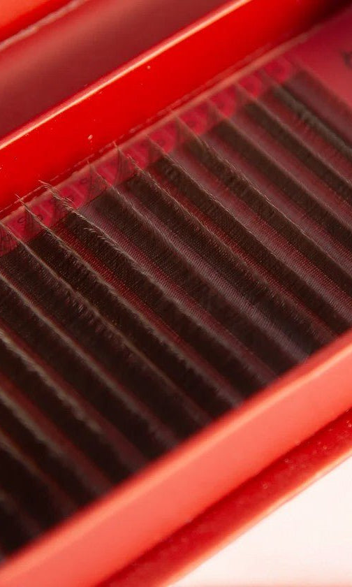 ladybuglashes lashglue lashtrays lashadhesive glueretention cloverlashes wlashes yylashes premades promades lashes