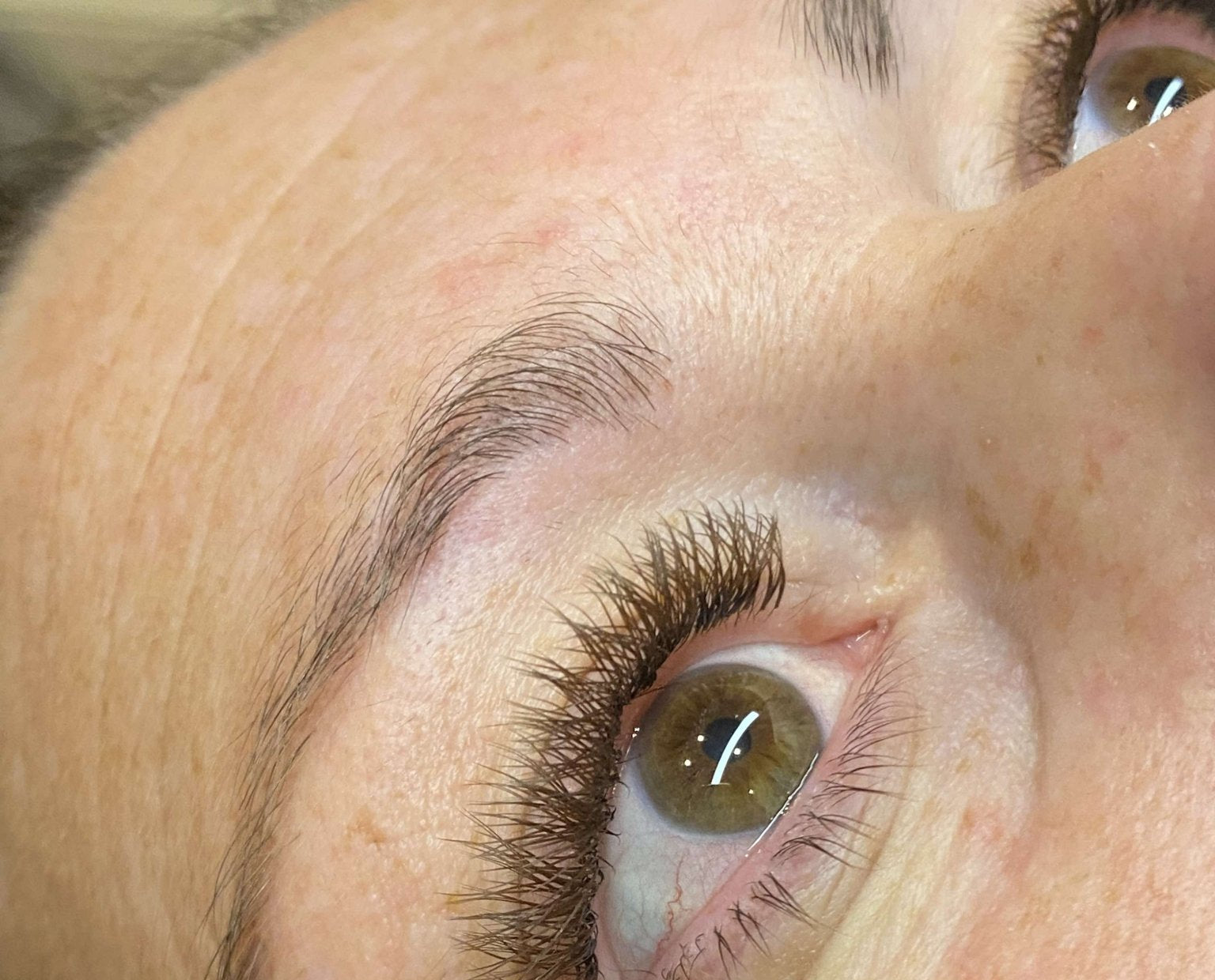 ladybuglashes lashglue lashtrays lashadhesive glueretention cloverlashes wlashes yylashes premades promades lashes