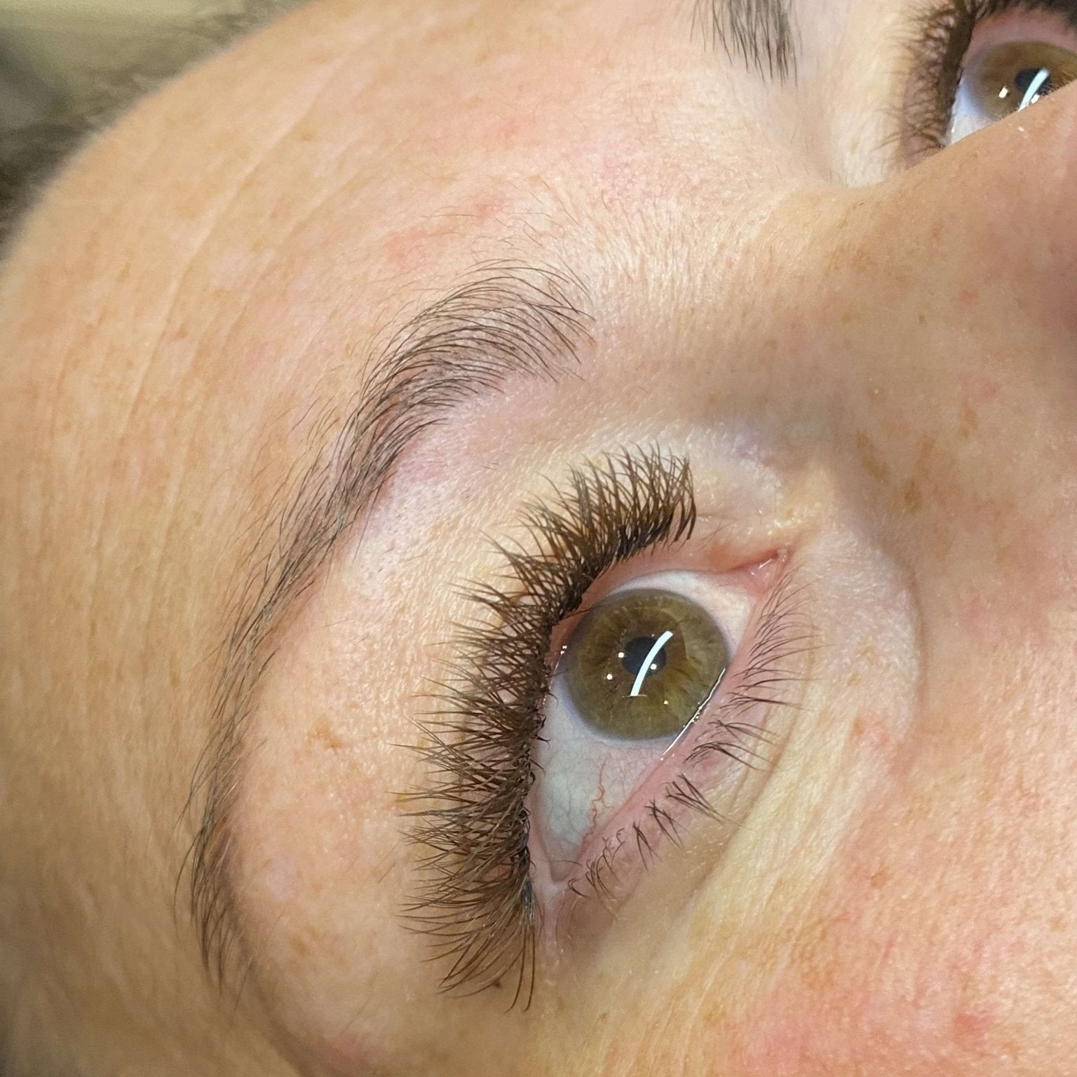 ladybuglashes lashglue lashtrays lashadhesive glueretention cloverlashes wlashes yylashes premades promades lashes