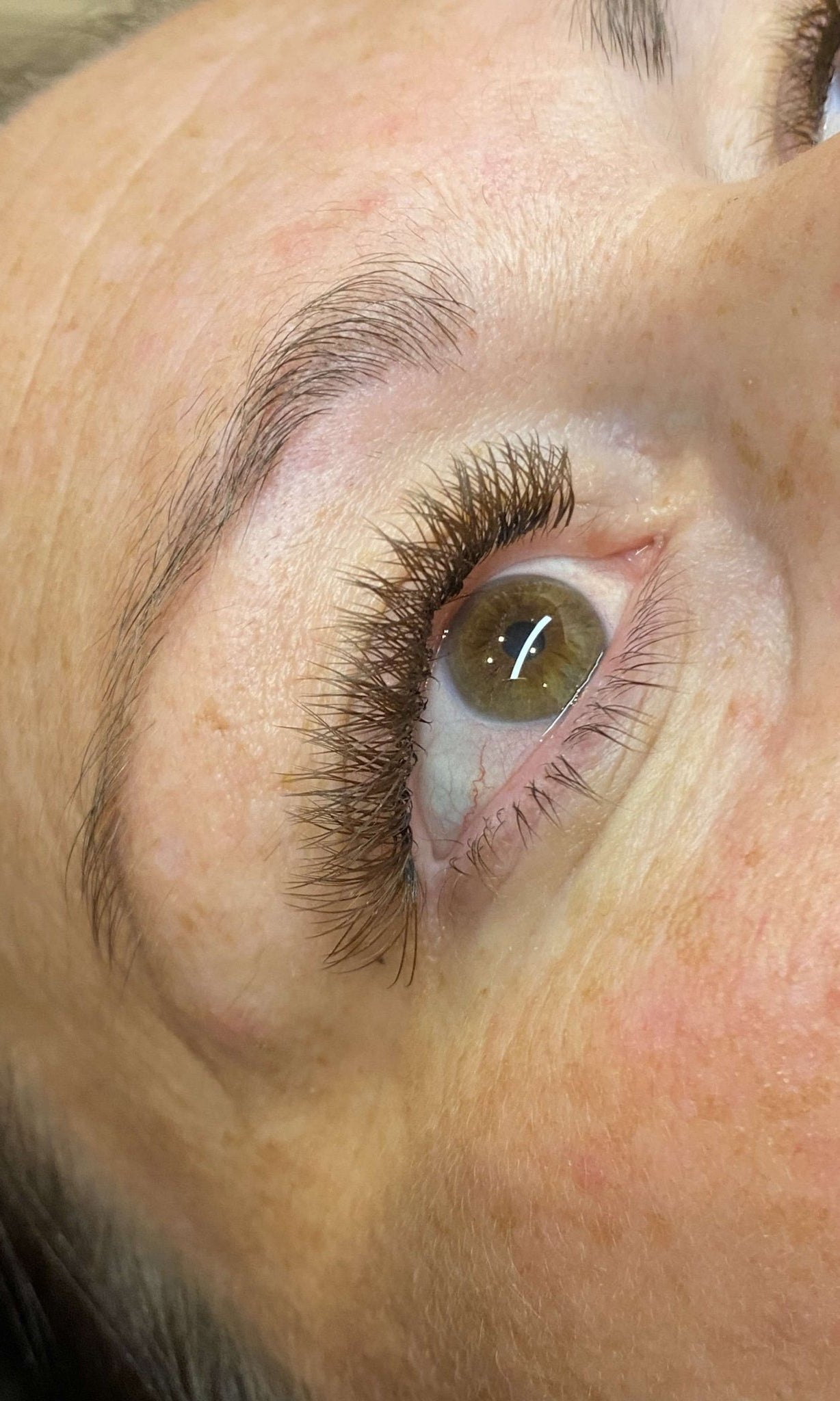 ladybuglashes lashglue lashtrays lashadhesive glueretention cloverlashes wlashes yylashes premades promades lashes