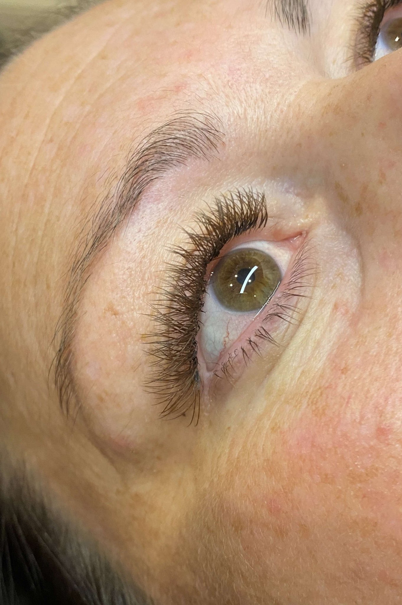 ladybuglashes lashglue lashtrays lashadhesive glueretention cloverlashes wlashes yylashes premades promades lashes