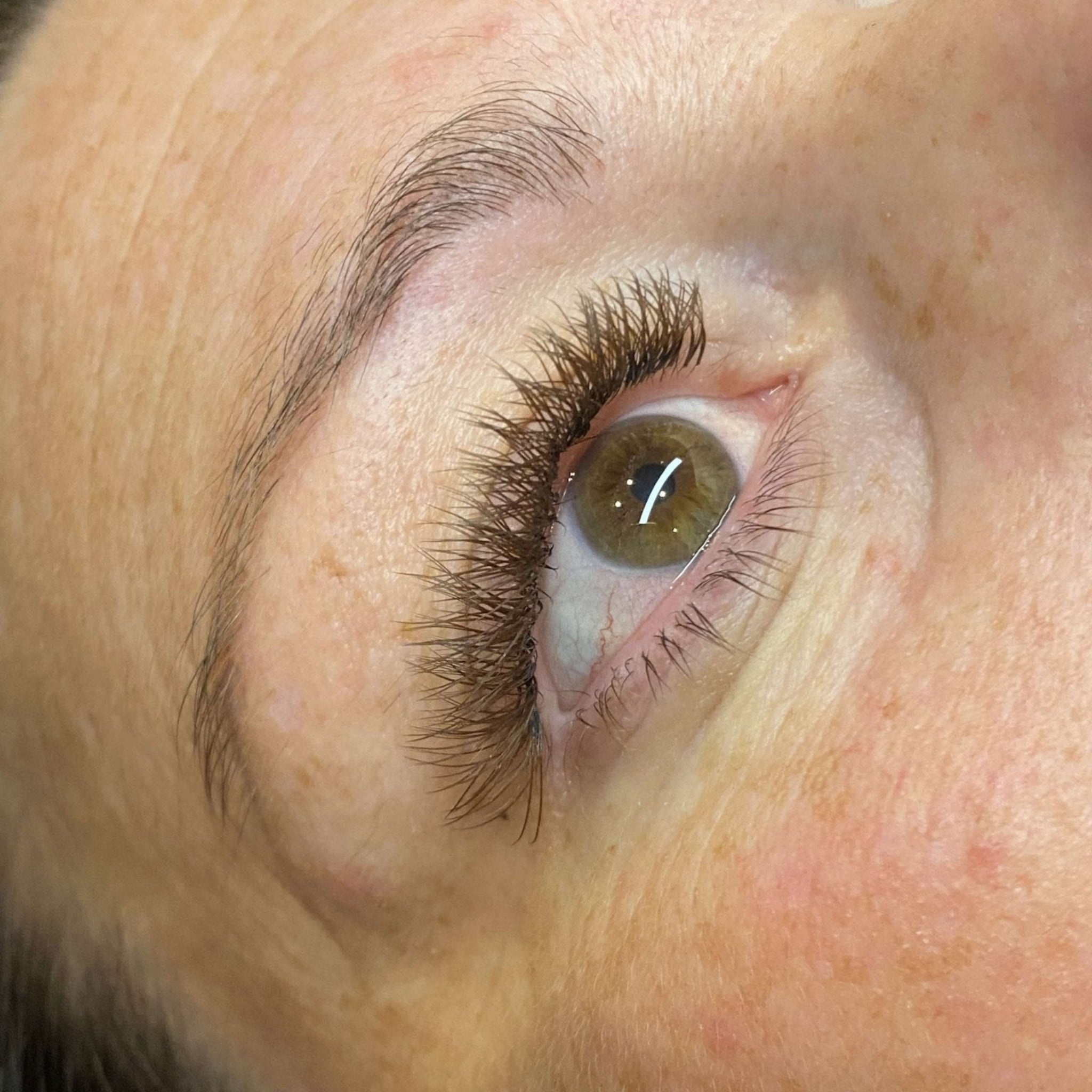 Completed Ladybug Lashes Brown YY Lash lash set showing full lash line from front