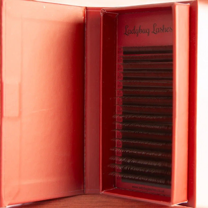 ladybuglashes lashglue lashtrays lashadhesive glueretention cloverlashes wlashes yylashes premades promades lashes