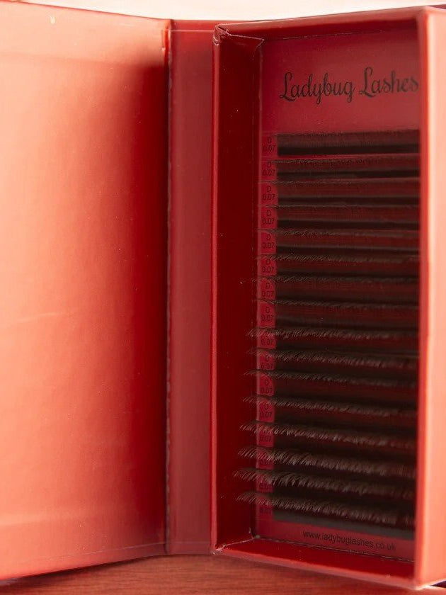 ladybuglashes lashglue lashtrays lashadhesive glueretention cloverlashes wlashes yylashes premades promades lashes