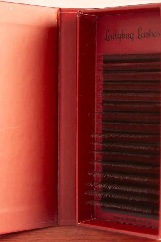 ladybuglashes lashglue lashtrays lashadhesive glueretention cloverlashes wlashes yylashes premades promades lashes