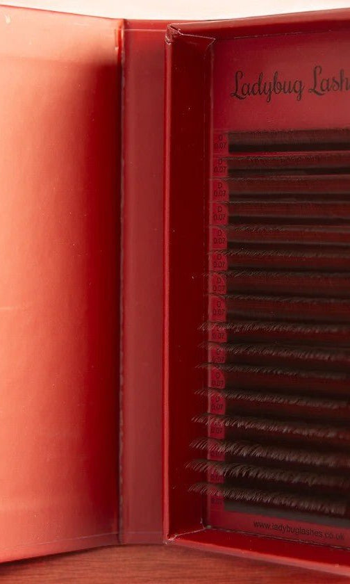 ladybuglashes lashglue lashtrays lashadhesive glueretention cloverlashes wlashes yylashes premades promades lashes