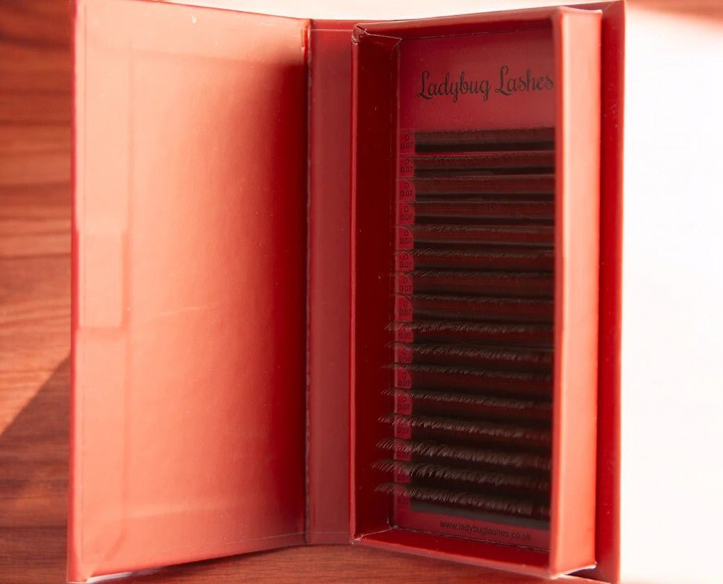 ladybuglashes lashglue lashtrays lashadhesive glueretention cloverlashes wlashes yylashes premades promades lashes