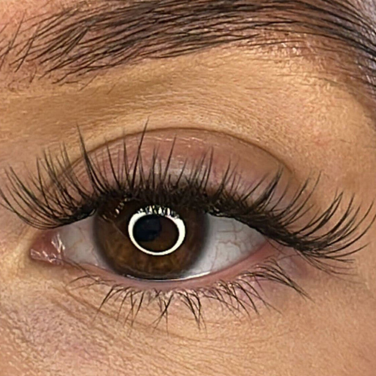 Lash Ribbons Cayla DIY Lash Clusters – product image 2