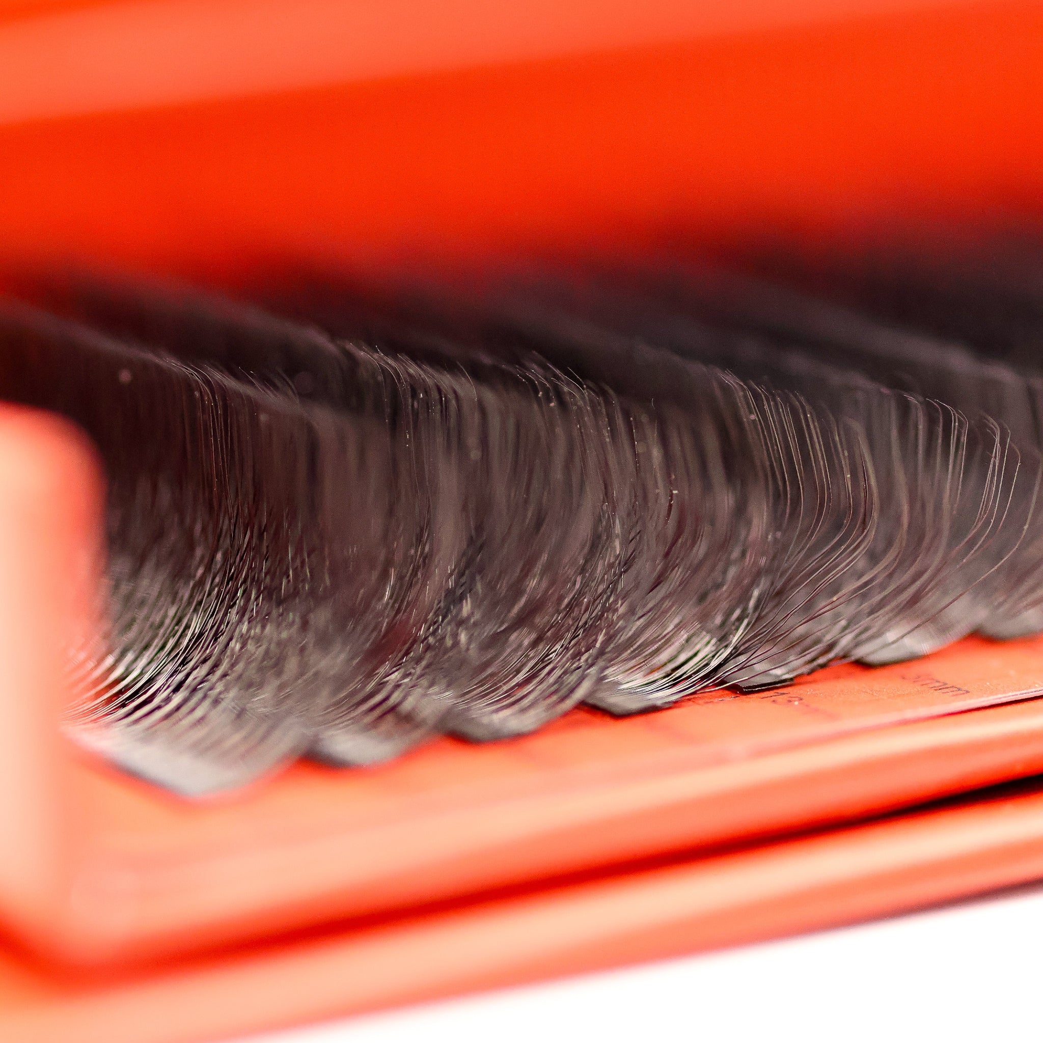 Close-up of Ladybug Lashes 10D Clover lash row tips showing wispy fan texture and curl definition against red box