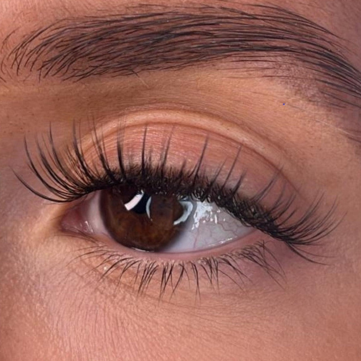 Lash Ribbons Codee DIY Lash Clusters – product image 3