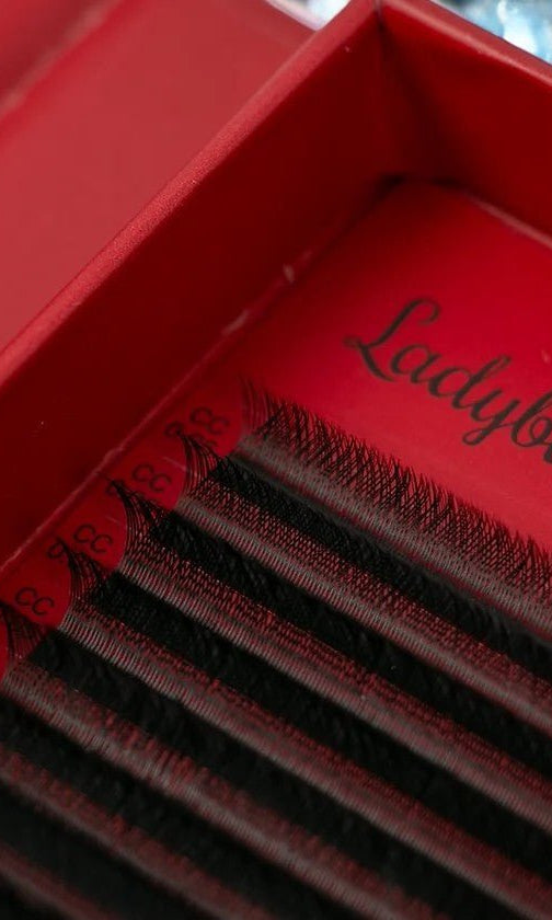 ladybuglashes lashglue lashtrays lashadhesive glueretention cloverlashes wlashes yylashes premades promades lashes