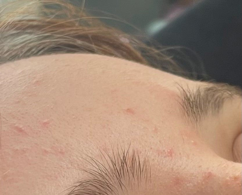 ladybuglashes lashglue lashtrays lashadhesive glueretention cloverlashes wlashes yylashes premades promades lashes