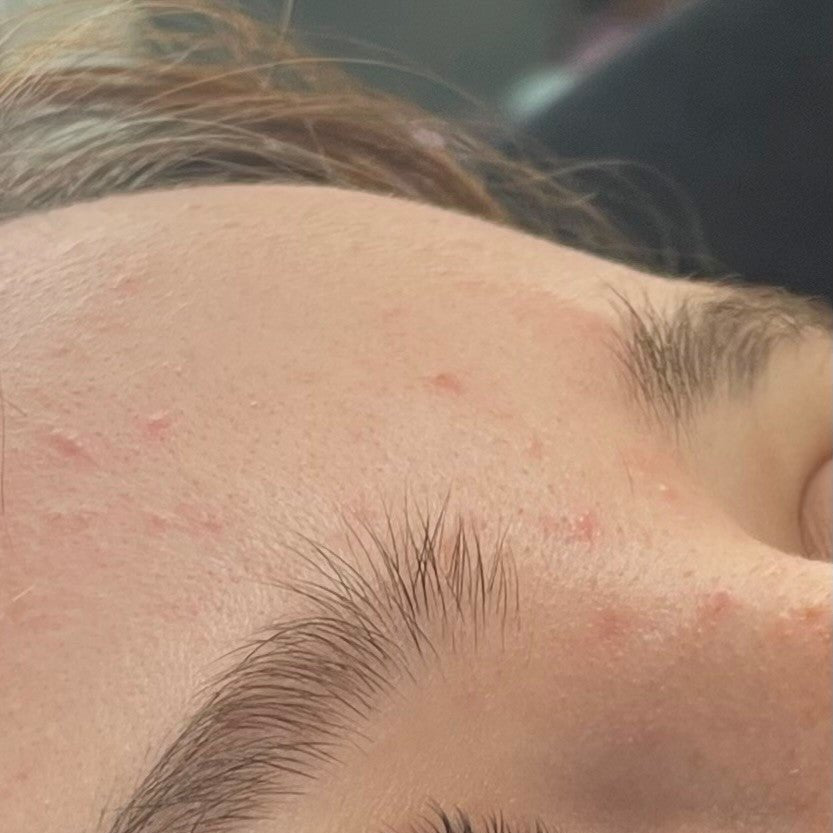 ladybuglashes lashglue lashtrays lashadhesive glueretention cloverlashes wlashes yylashes premades promades lashes